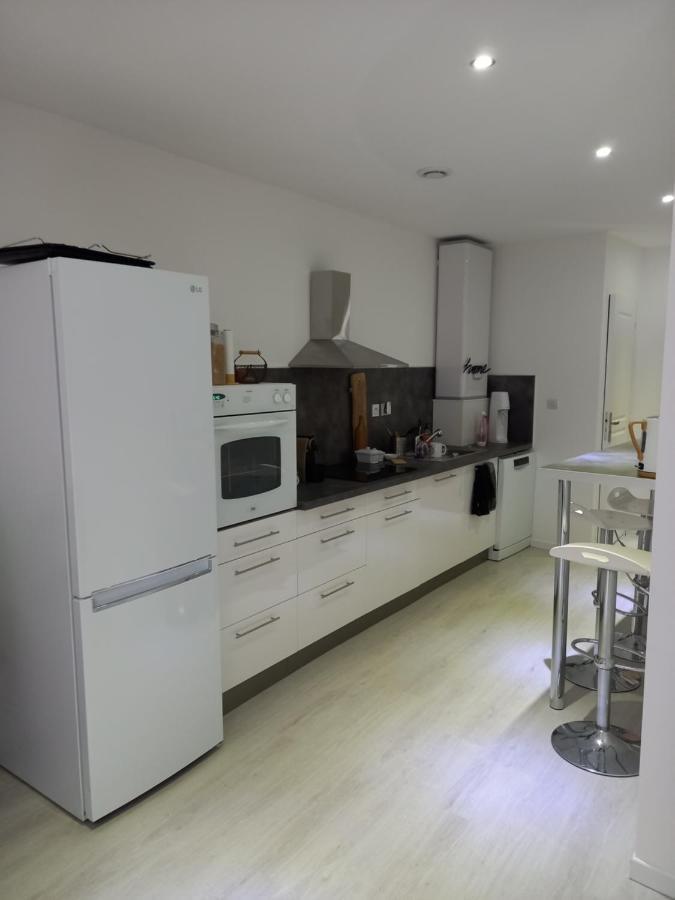 Tres Bel Appartement Condrieu Buitenkant foto